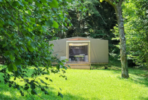 Tiendas Toilé Maori